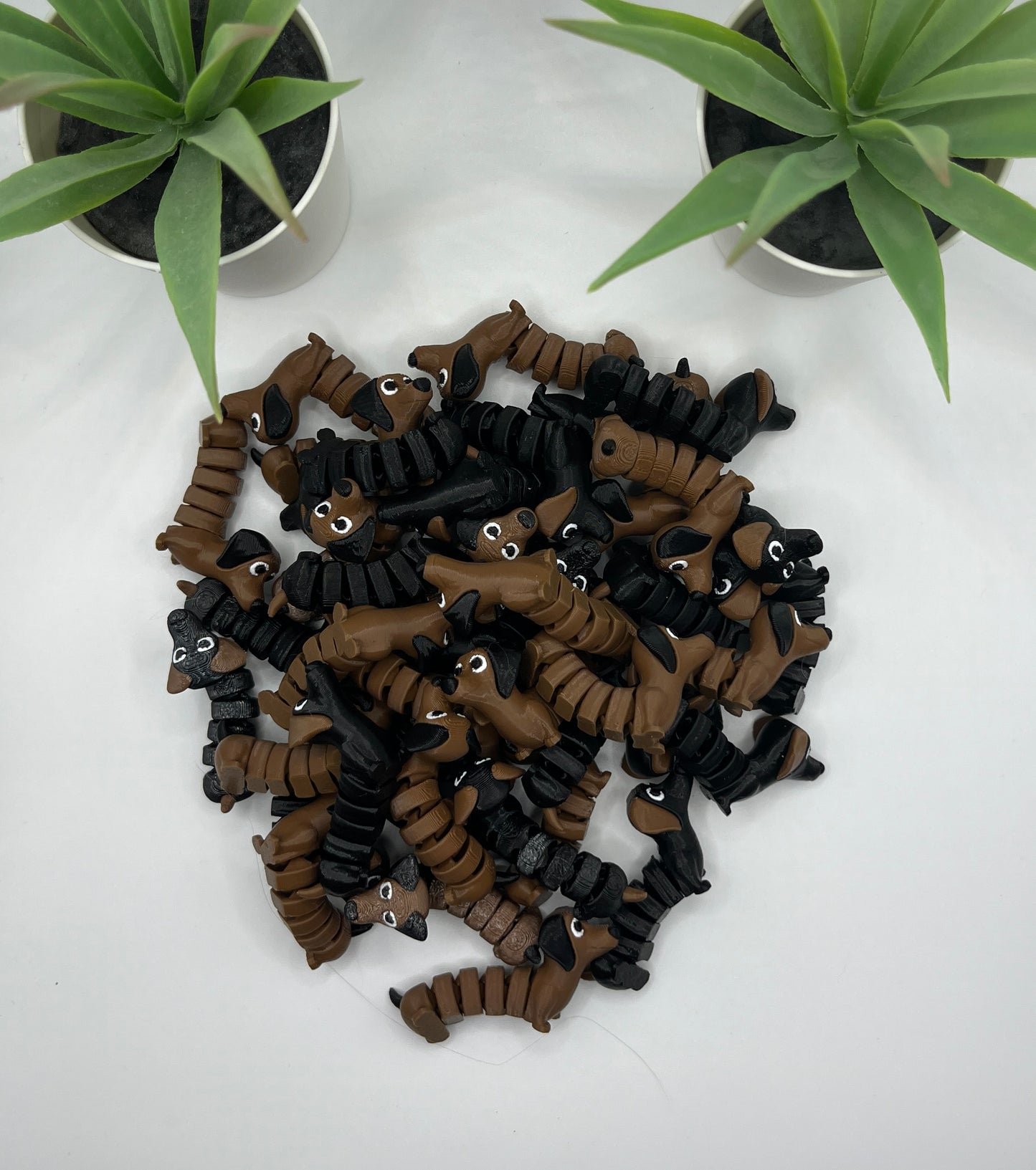 Dachshund Dog Fidget Animal