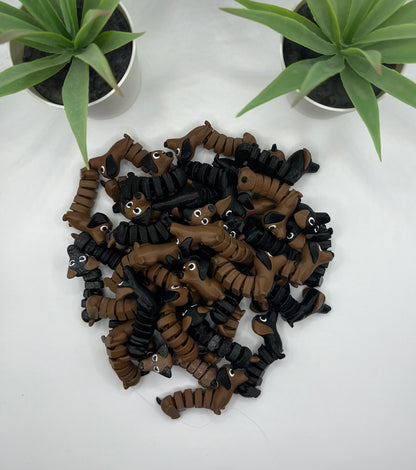 Dachshund Dog Fidget Animal