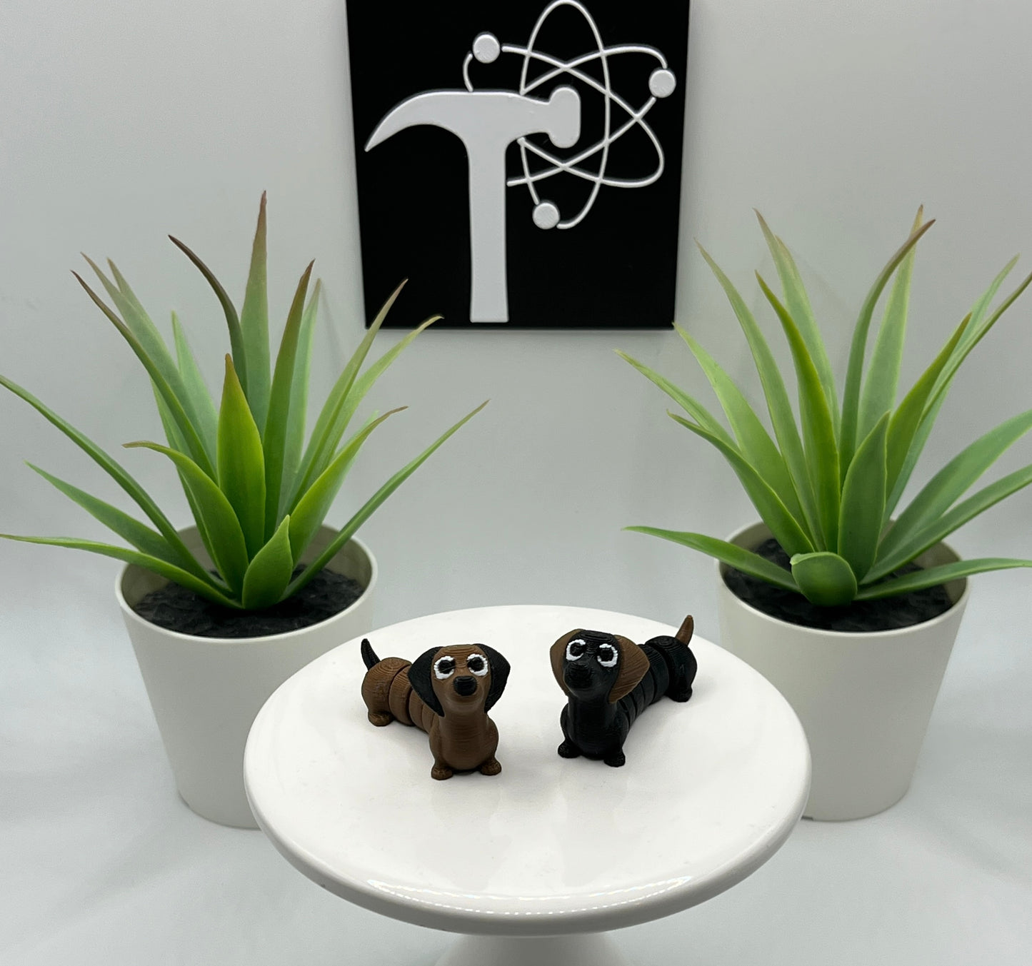 Dachshund Dog Fidget Animal