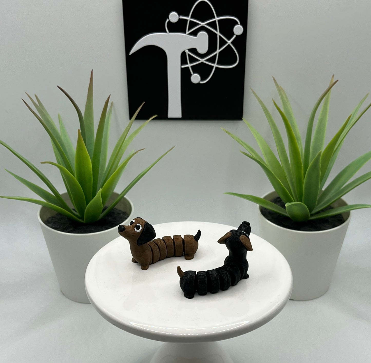 Dachshund Dog Fidget Animal