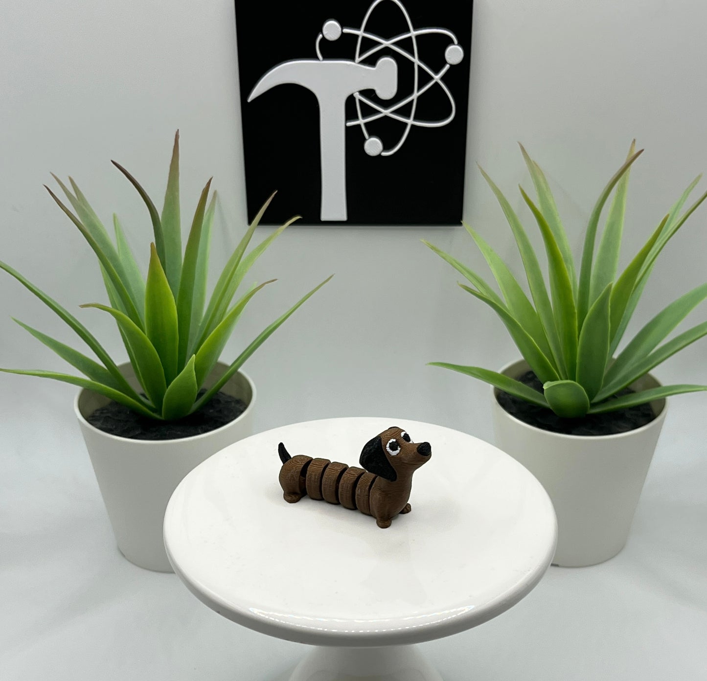 Dachshund Dog Fidget Animal