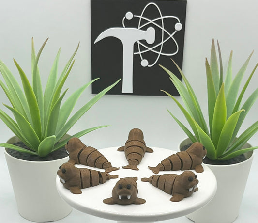 Walrus Fidget Animal