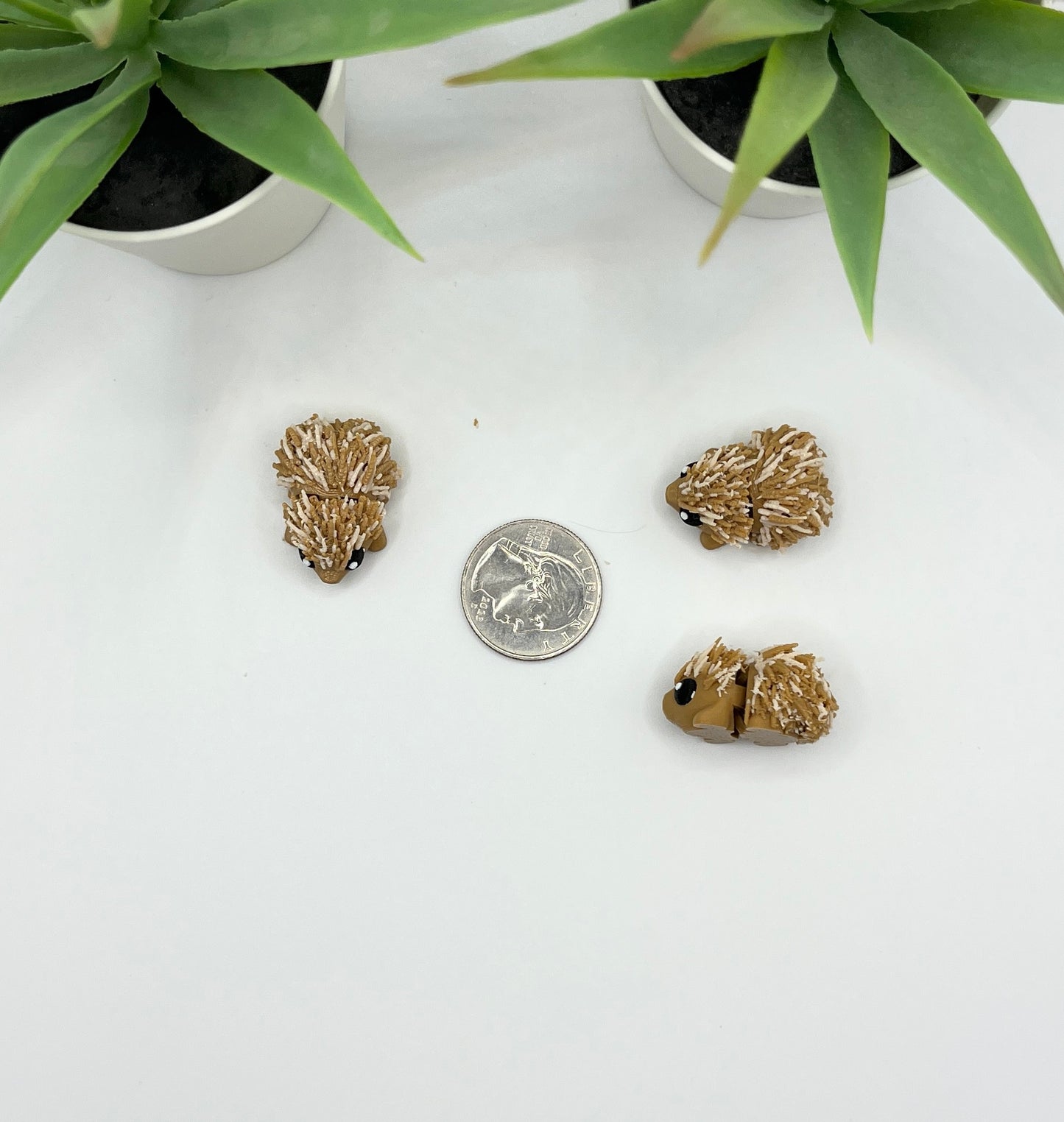 Porcupine Fidget Animal