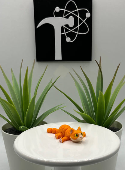 Cat Fidget Animal
