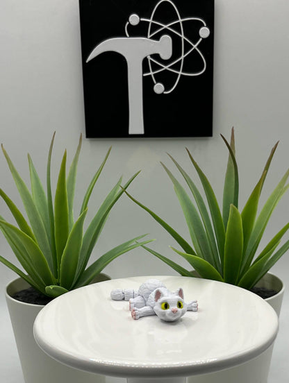 Cat Fidget Animal