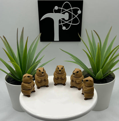 Groundhog Fidget Animal