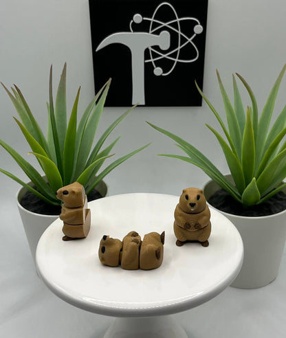 Groundhog Fidget Animal