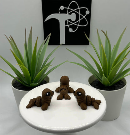 Walrus Fidget Animal