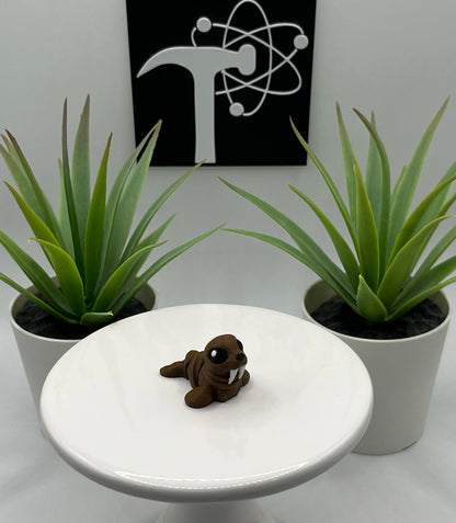 Walrus Fidget Animal