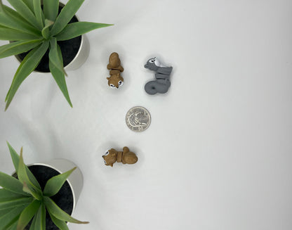 Squirrel Fidget Animal