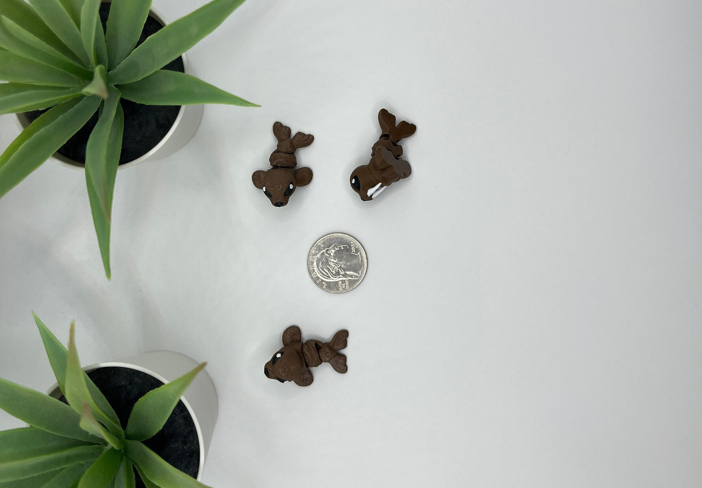 Walrus Fidget Animal