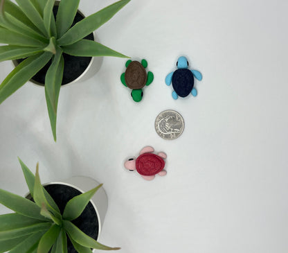 Turtle Fidget Animal