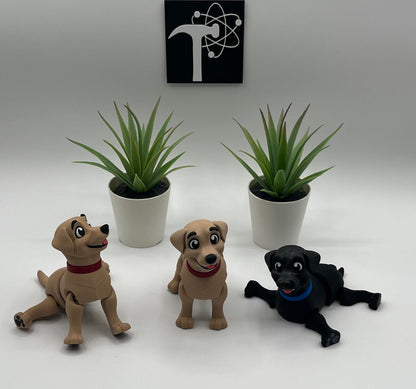 Labrador Retriever Dog Fidget Animal