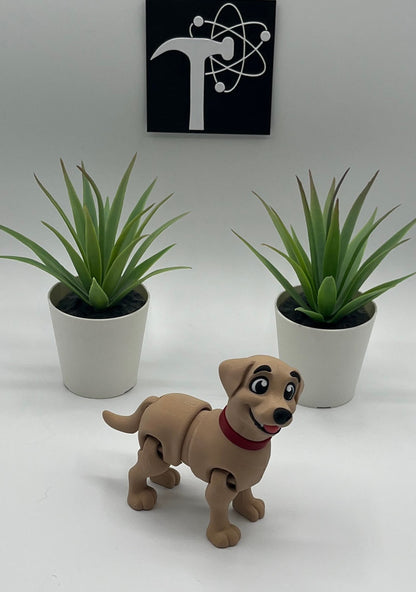 Labrador Retriever Dog Fidget Animal