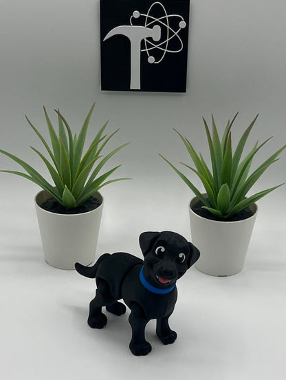 Labrador Retriever Dog Fidget Animal
