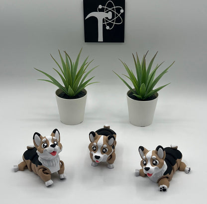 Corgi Dog Fidget Animal