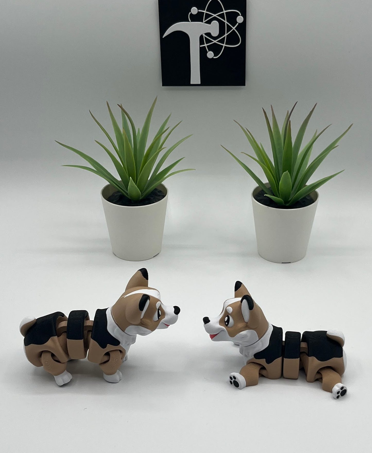 Corgi Dog Fidget Animal