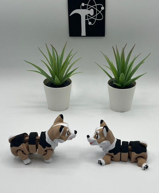 Corgi Dog Fidget Animal