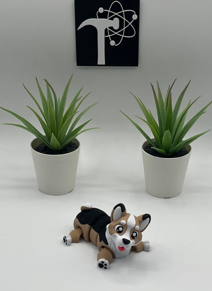 Corgi Dog Fidget Animal