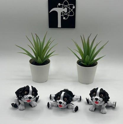 Spaniel Dog Fidget Animal