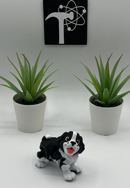 Spaniel Dog Fidget Animal