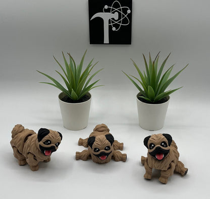 Pekingese Dog Fidget Animal