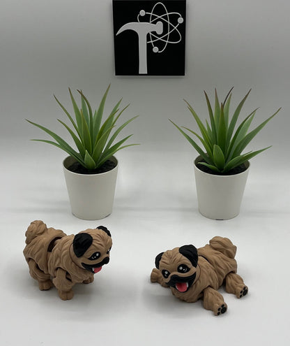 Pekingese Dog Fidget Animal