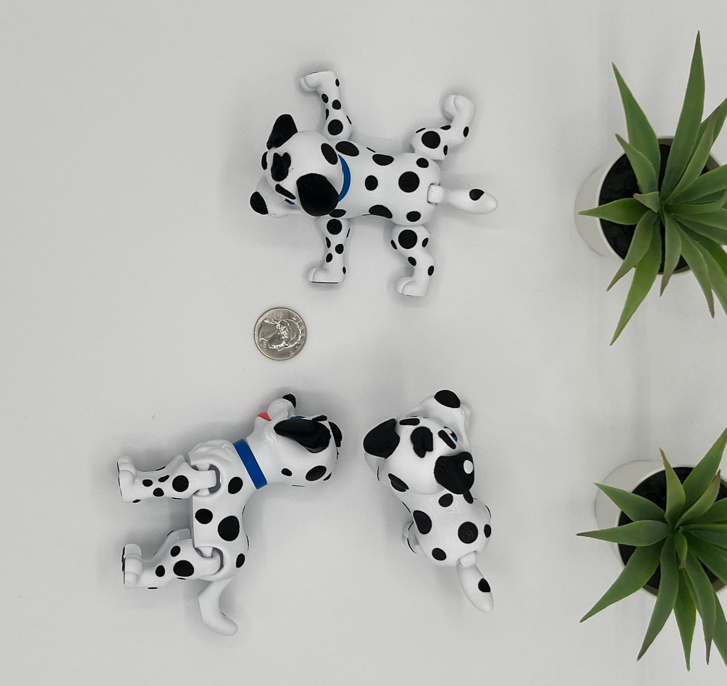 Dalmatian Dog Fidget Animal