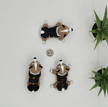 Corgi Dog Fidget Animal