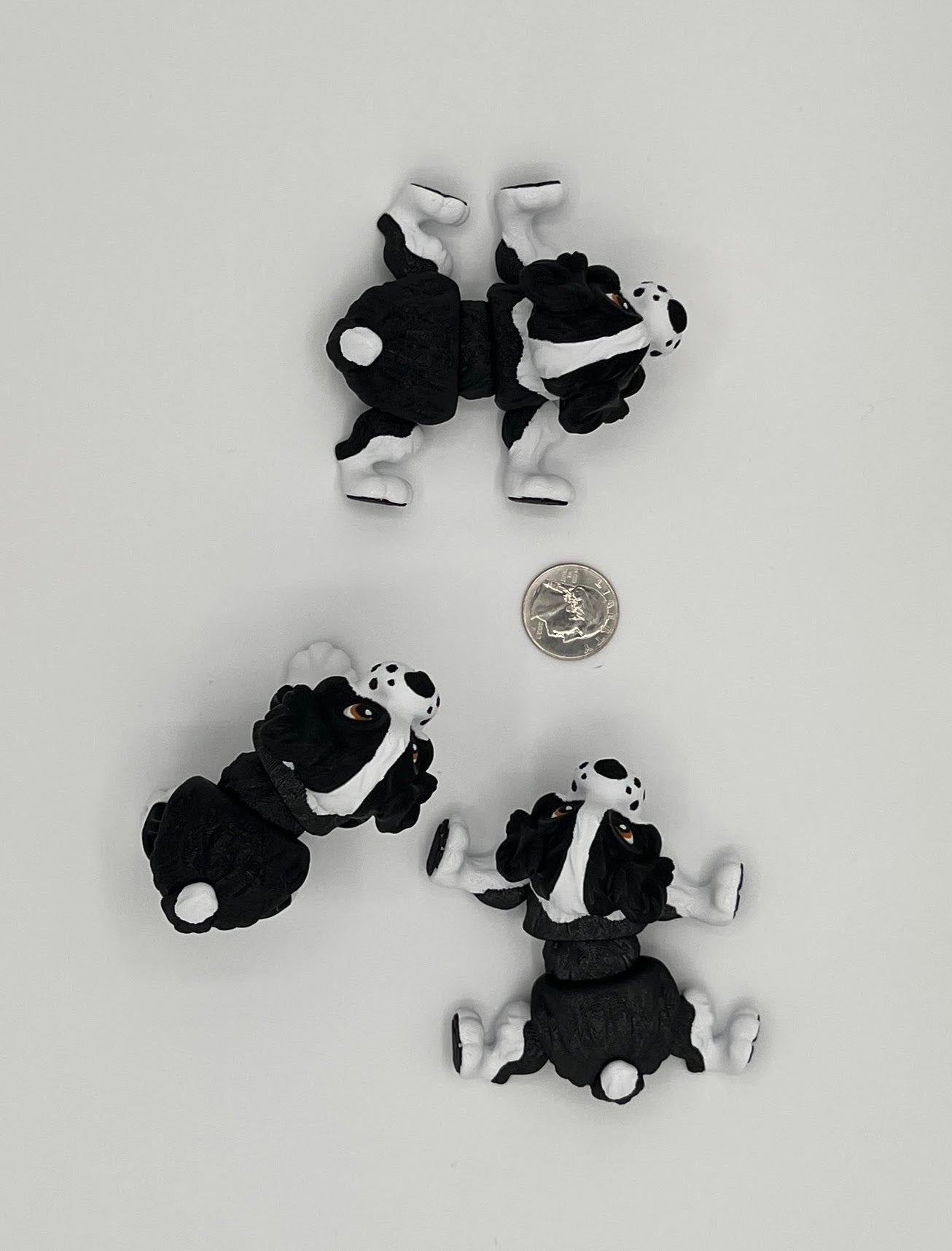 Spaniel Dog Fidget Animal