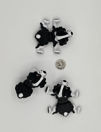 Spaniel Dog Fidget Animal