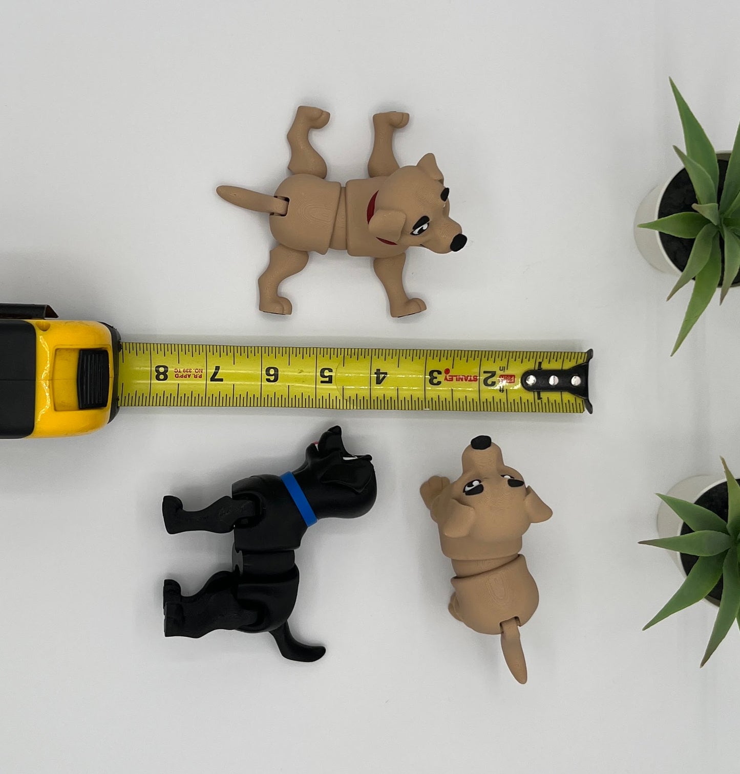 Labrador Retriever Dog Fidget Animal