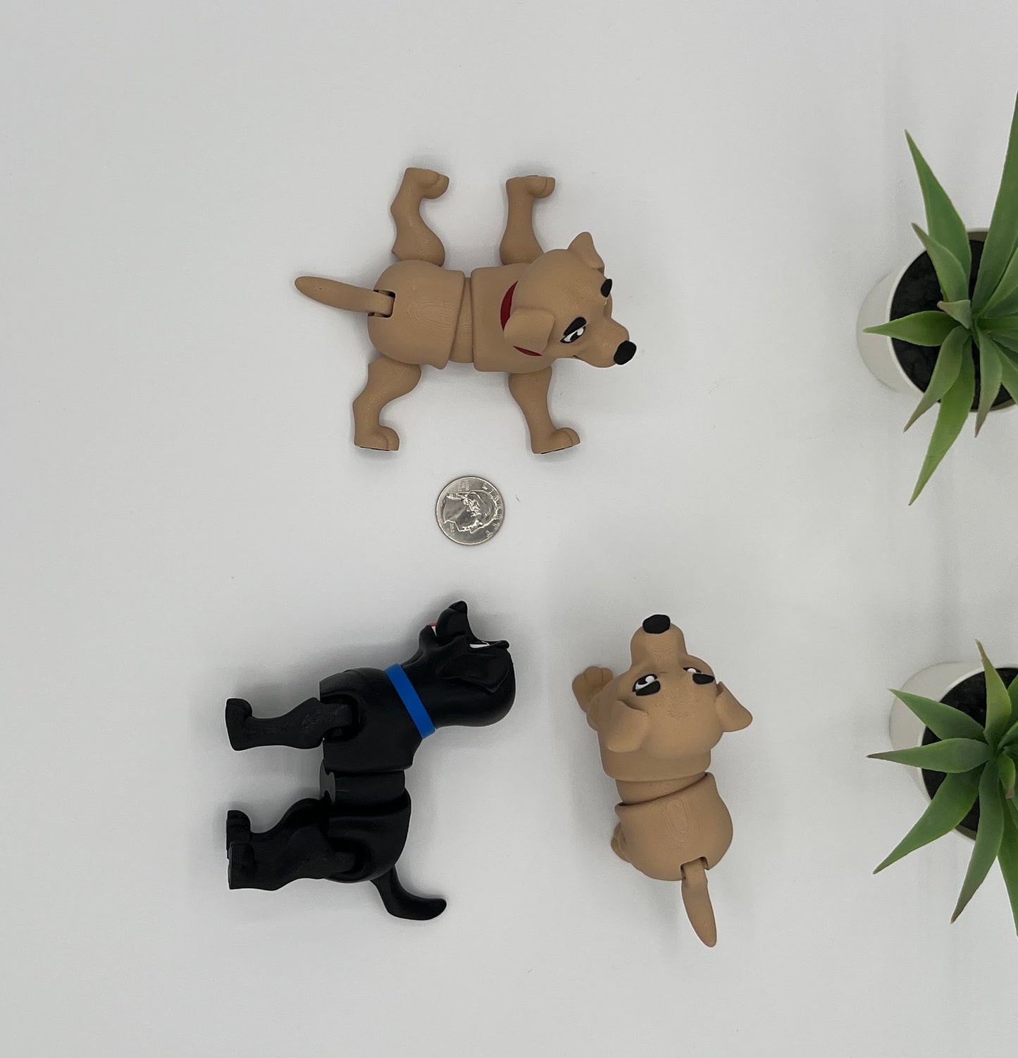 Labrador Retriever Dog Fidget Animal