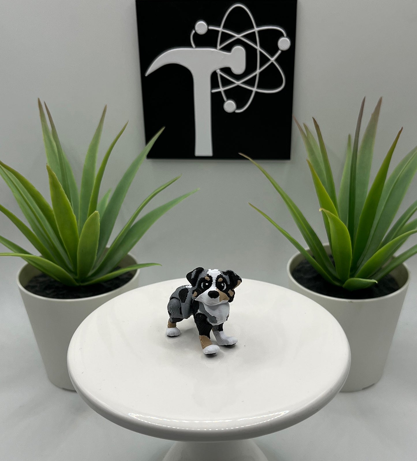 Australian Shepherd, Aussie, Dog Fidget Animal