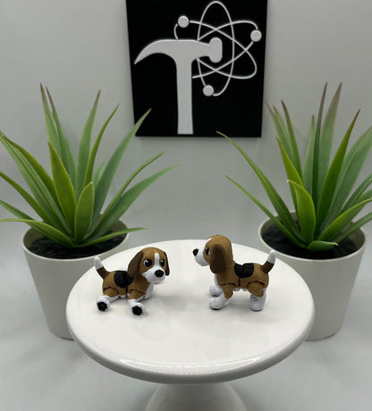 Beagle Dog Fidget Animal