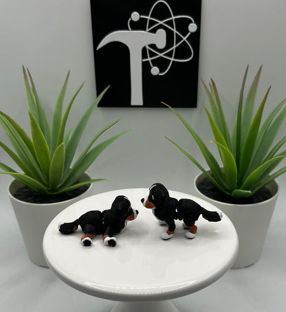 Bernese Mountain Dog Fidget Animal