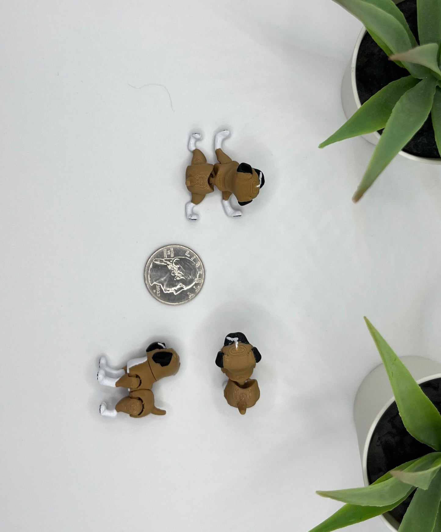 Boxer Dog Fidget Animal