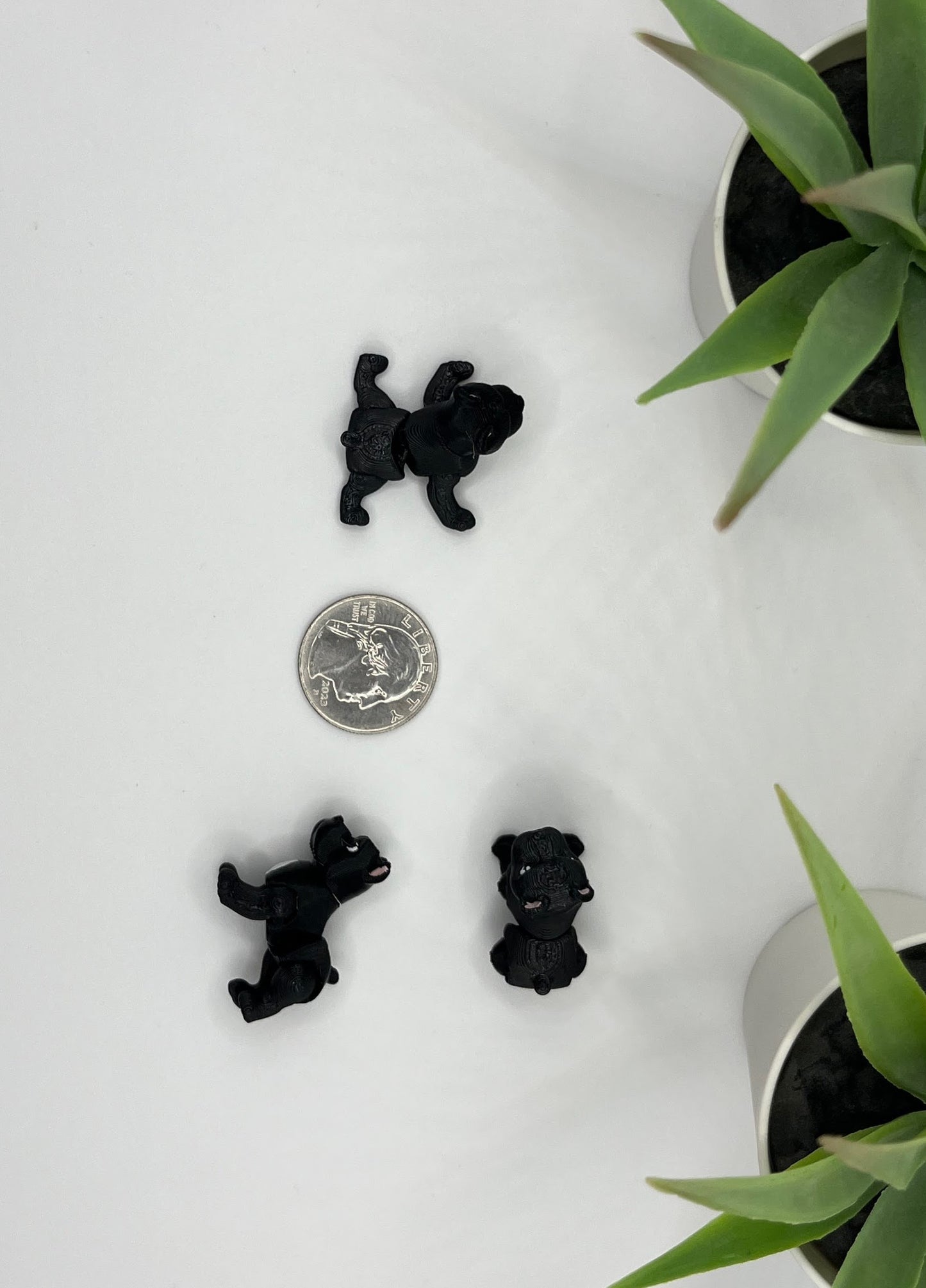 Cane Corso Dog Fidget Animal