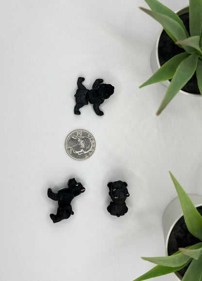 Cane Corso Dog Fidget Animal