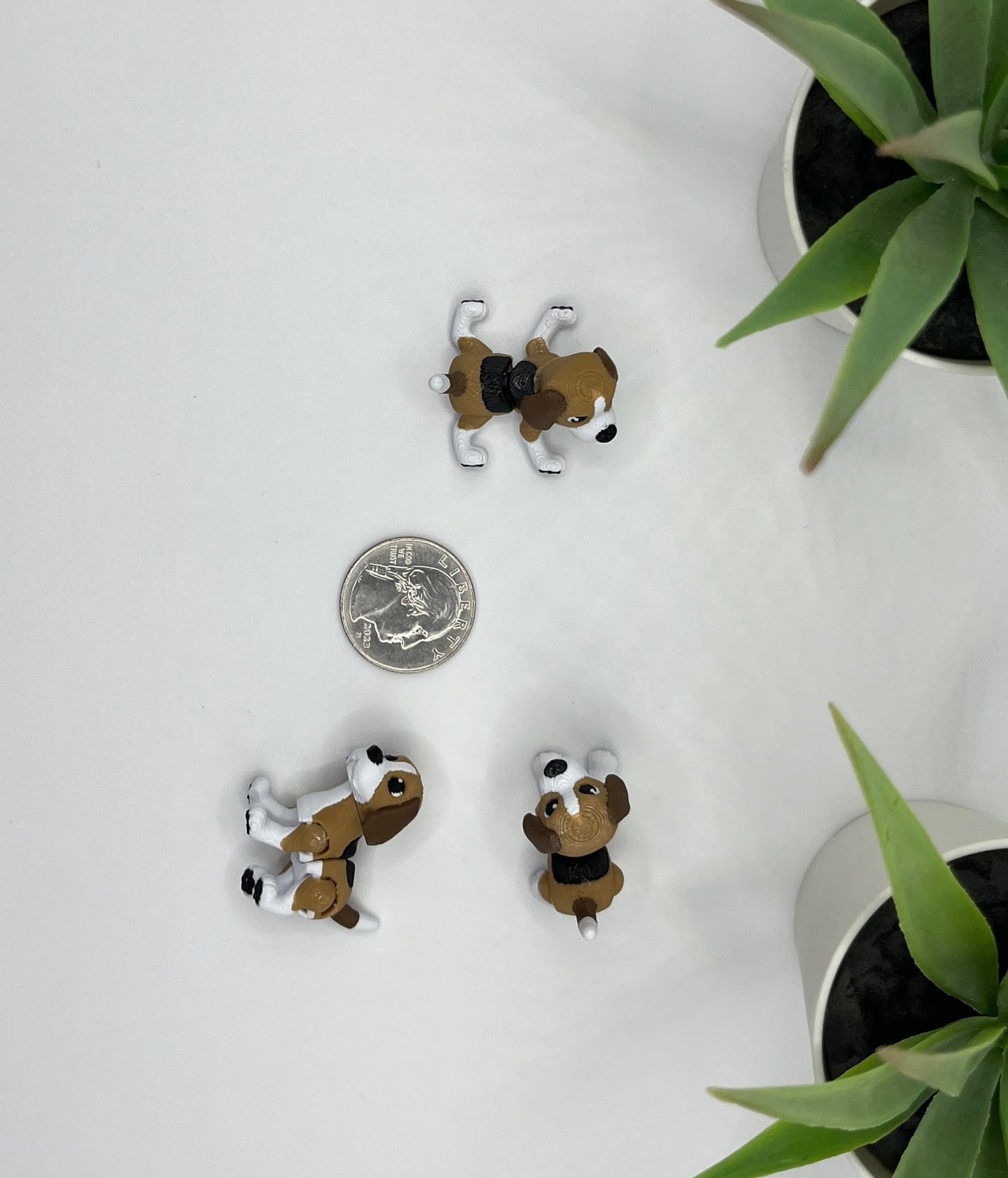 Beagle Dog Fidget Animal