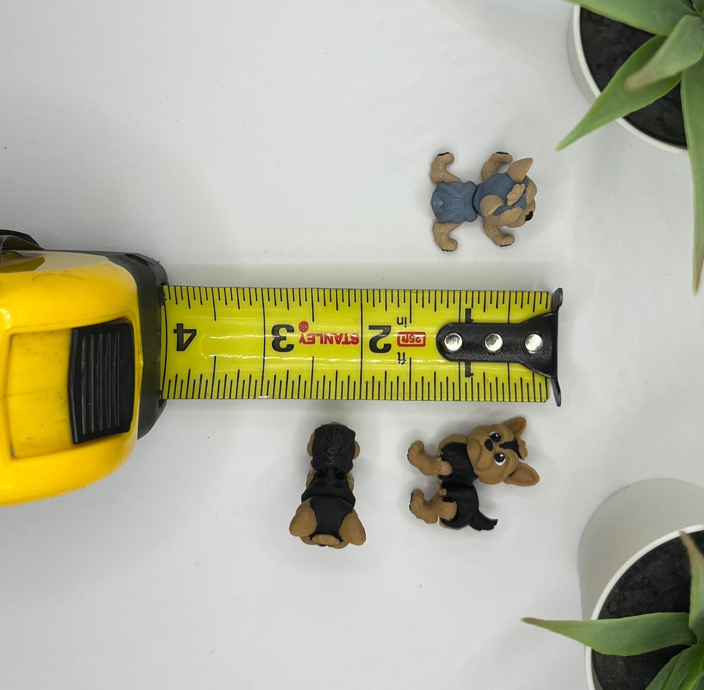 Yorkshire Terrier, Yorkie, Dog Fidget Animal