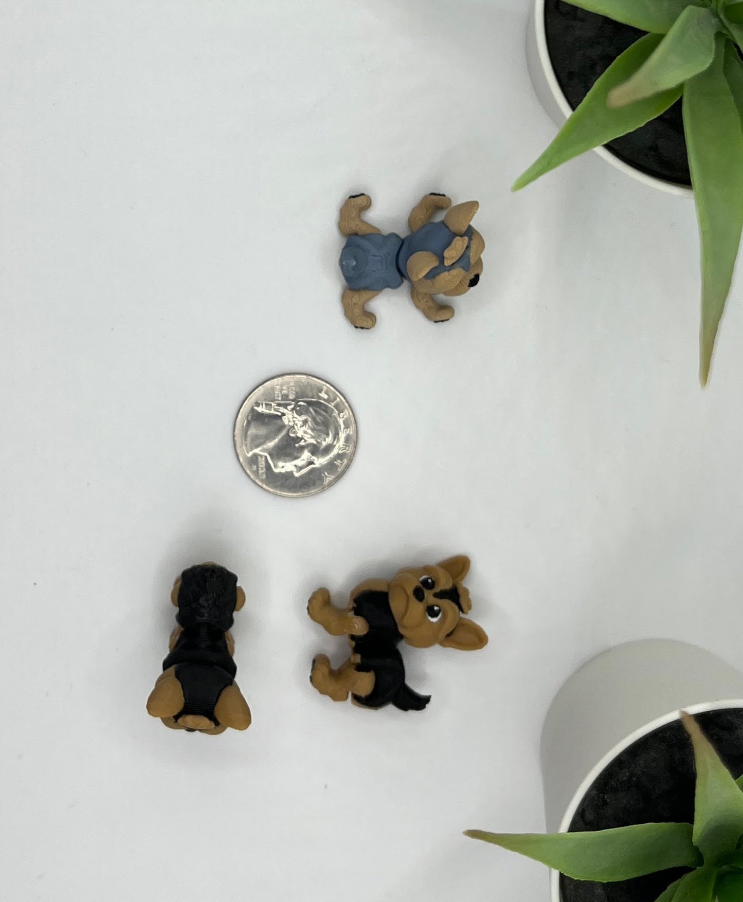 Yorkshire Terrier, Yorkie, Dog Fidget Animal