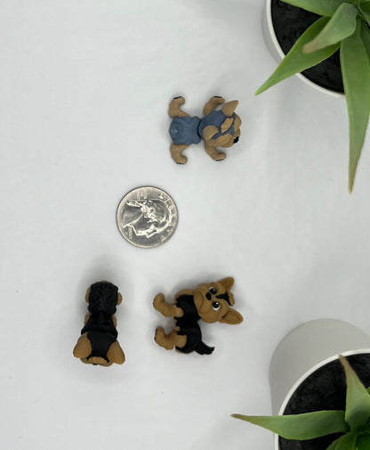 Yorkshire Terrier, Yorkie, Dog Fidget Animal