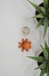 Octopus Fidget Animal