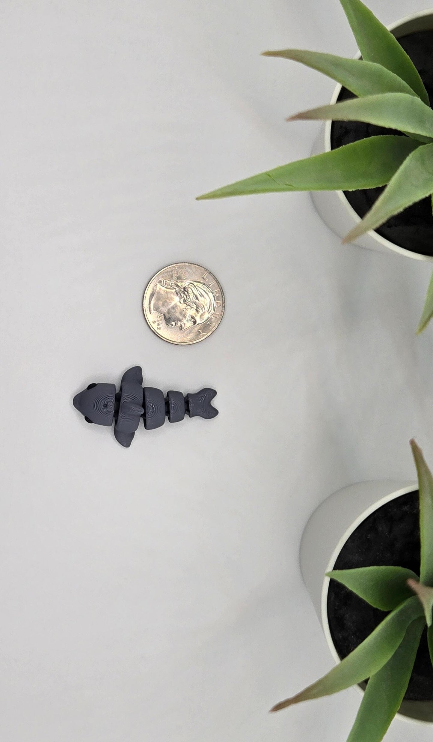 Dolphin Fidget Animal