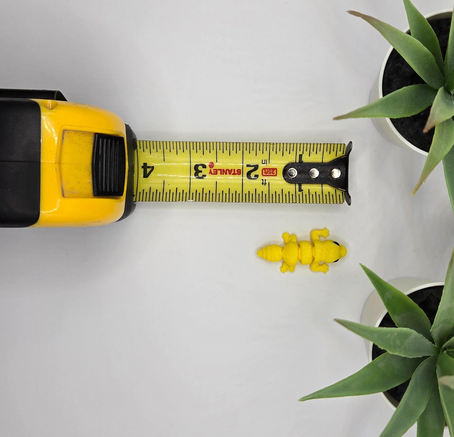 Leopard Gecko Fidget Animal