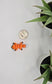 Fox Fidget Animal