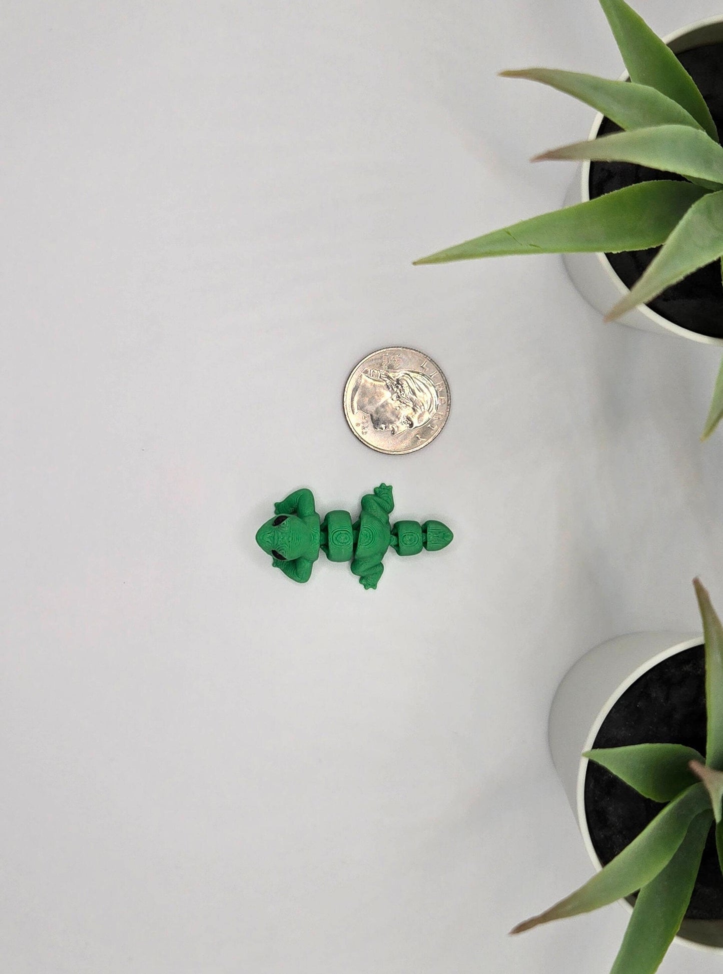 Lizard Fidget Animal