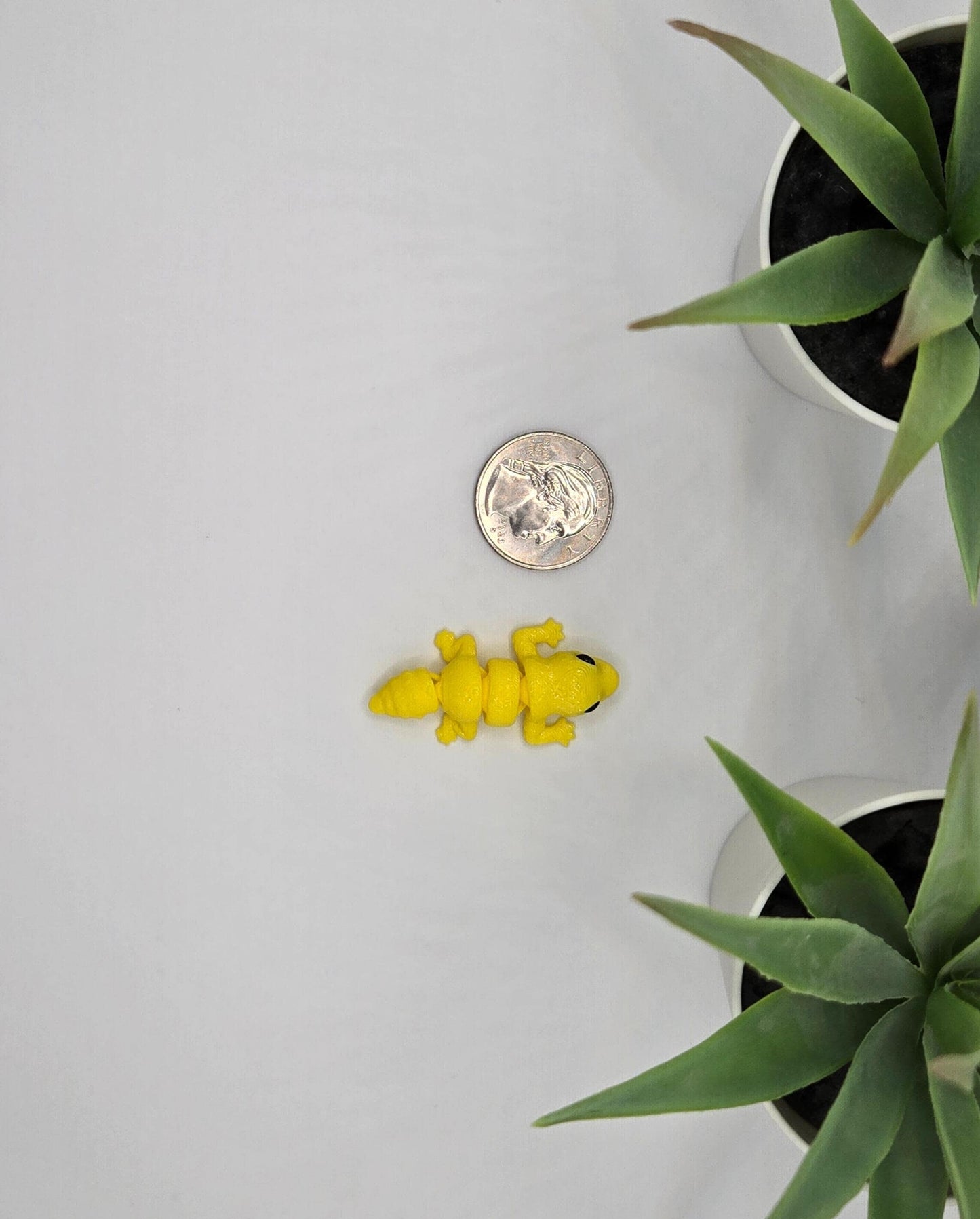 Leopard Gecko Fidget Animal