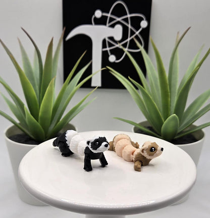 Ferret Fidget Animal
